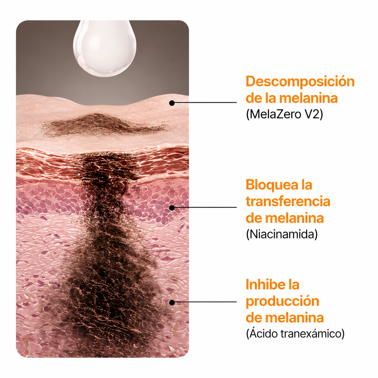 Celimax® Antimanchas y Refinadora de Poros